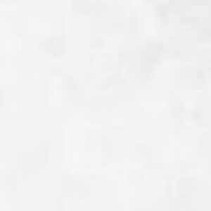 Aicham Larson-Juhl Samt/Velour Weiß 007-18056 81×101