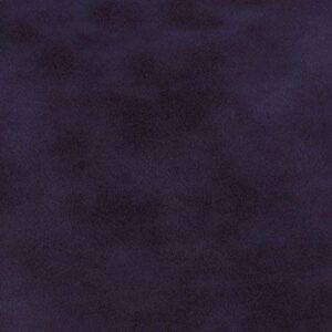 Aicham Larson-Juhl Samt/Velour Purpurviolett 007-18556 81×101