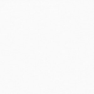 Aicham Larson-Juhl Leinen Weiß 007-51956 81×101