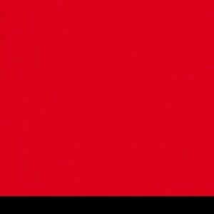 Aicham Larson-Juhl BlackCore Rot 066-46656 81×101