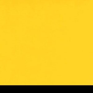 Aicham Larson-Juhl BlackCore Gelb 066-76256 81×101