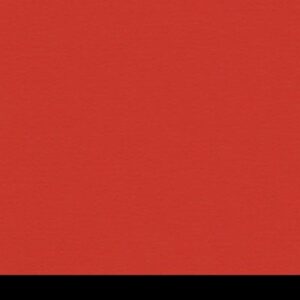 Aicham Larson-Juhl BlackCore Erdbeerrot 066-77656 81×101