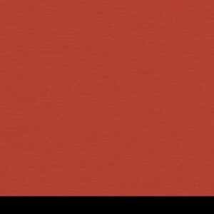 Aicham Larson-Juhl BlackCore Korallenrot 066-77756 81×101