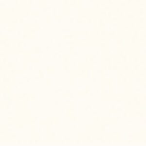 Aicham Larson-Juhl Museumskarton Ivory 165-16364 90×120