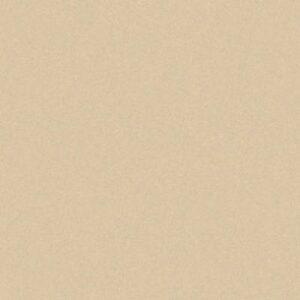 Aicham Larson-Juhl Artique Birch A4837 81×102