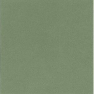 Aicham Larson-Juhl Artique Agave A4876 81×102