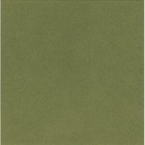 Aicham Larson-Juhl Artique Aloe A4877 81×102