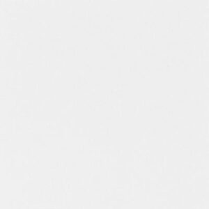 Aicham Larson-Juhl Artique Veil A4964 81×102