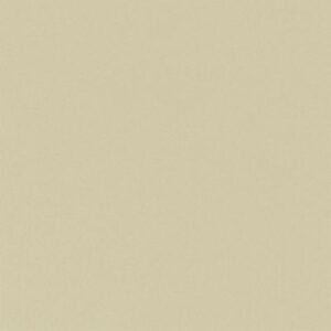 Aicham Larson-Juhl Artique Coast A4976 81×102